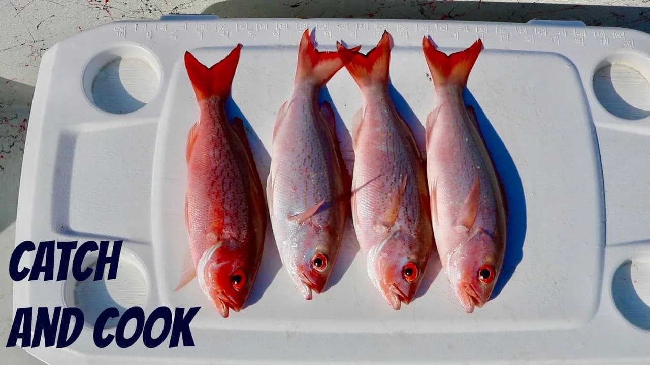 Vermilion Snapper Ceviche by AnglerUp with Brant, a frame from the YouTube video
