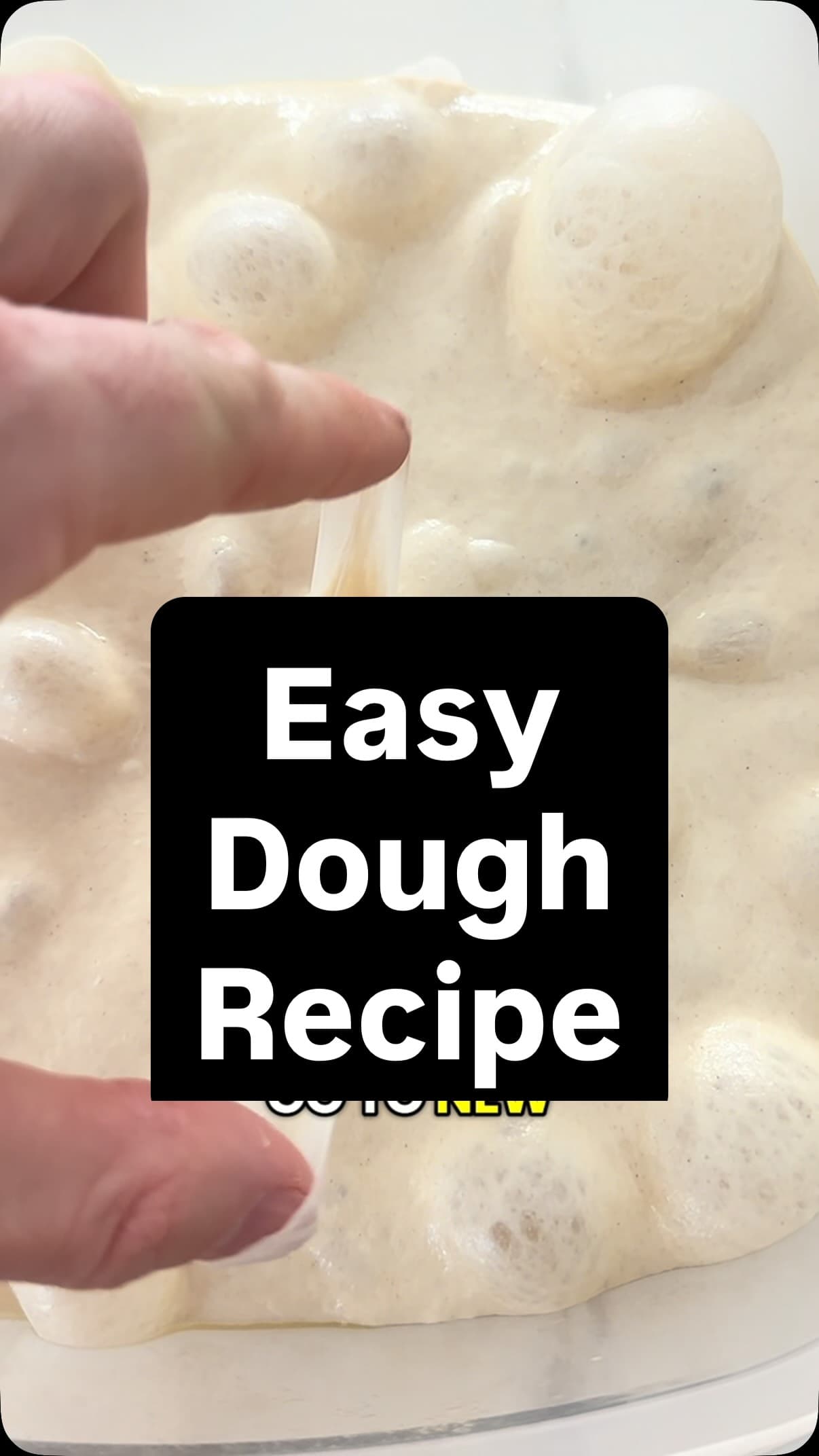 Homemade Pizza Dough