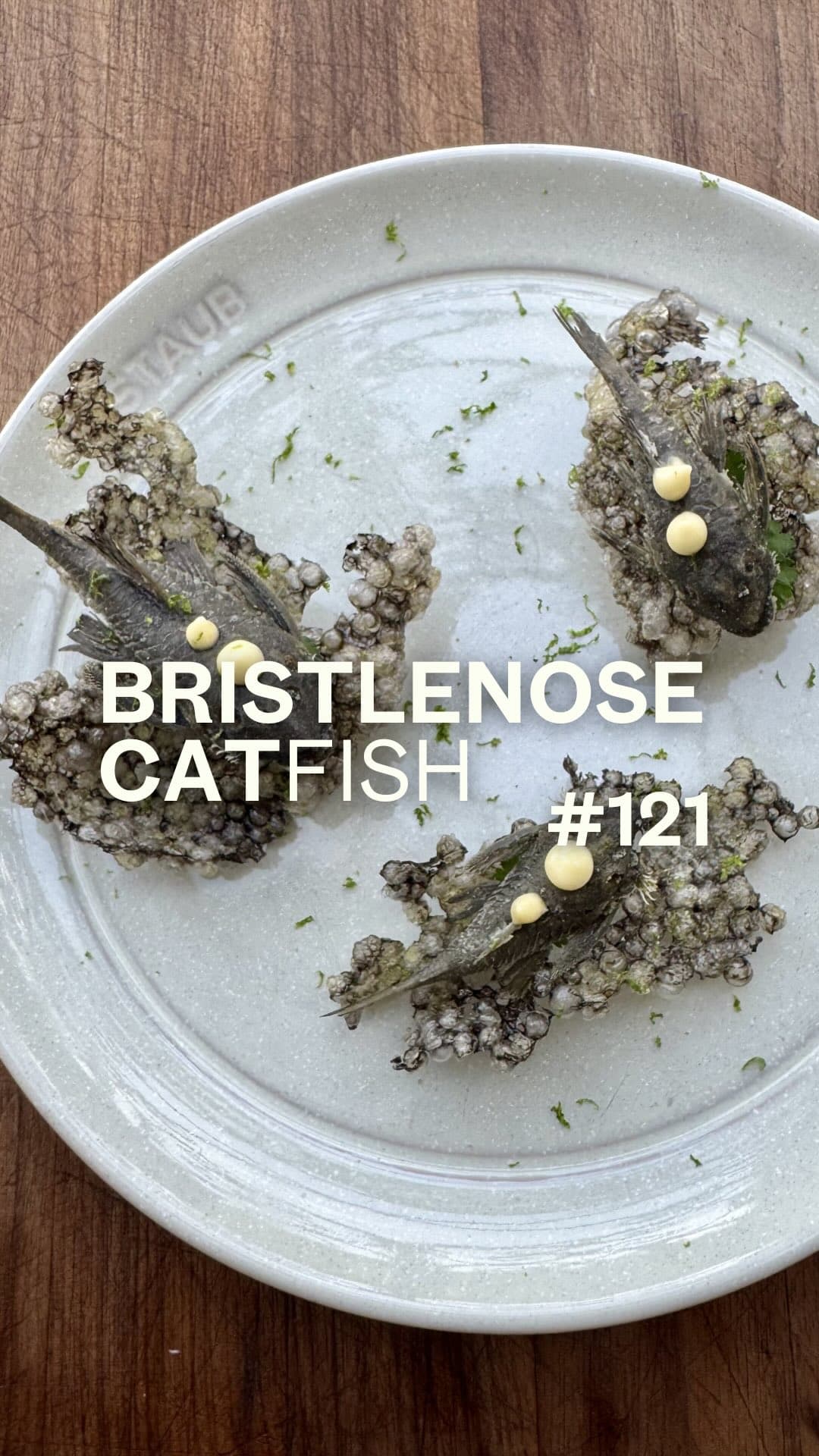 Bristlenose Catfish with Tapioca Pearl Crisps and Passion Fruit Mayonnaise