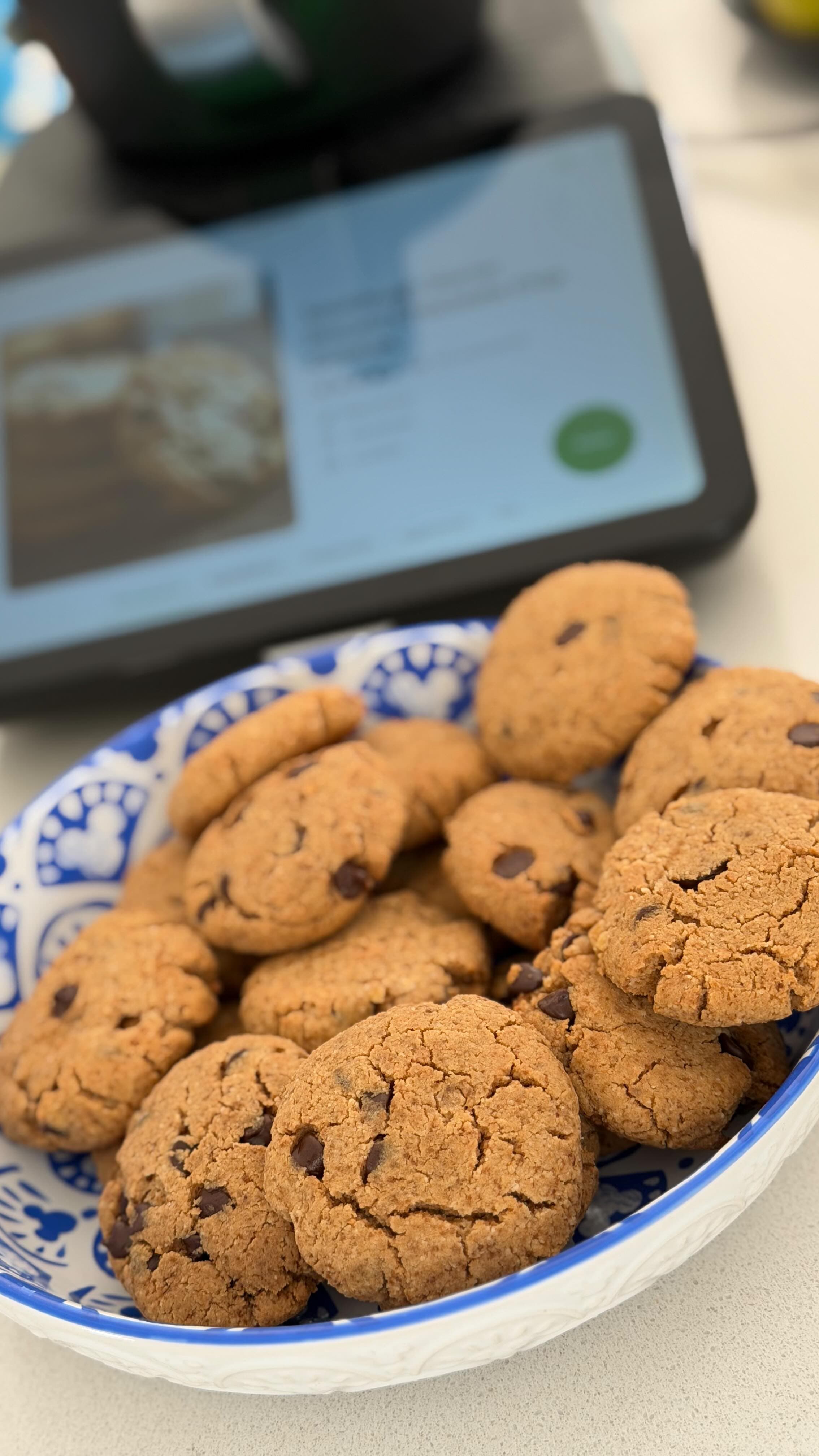 Healthy Peanut Butter Coconut Flour Cookies