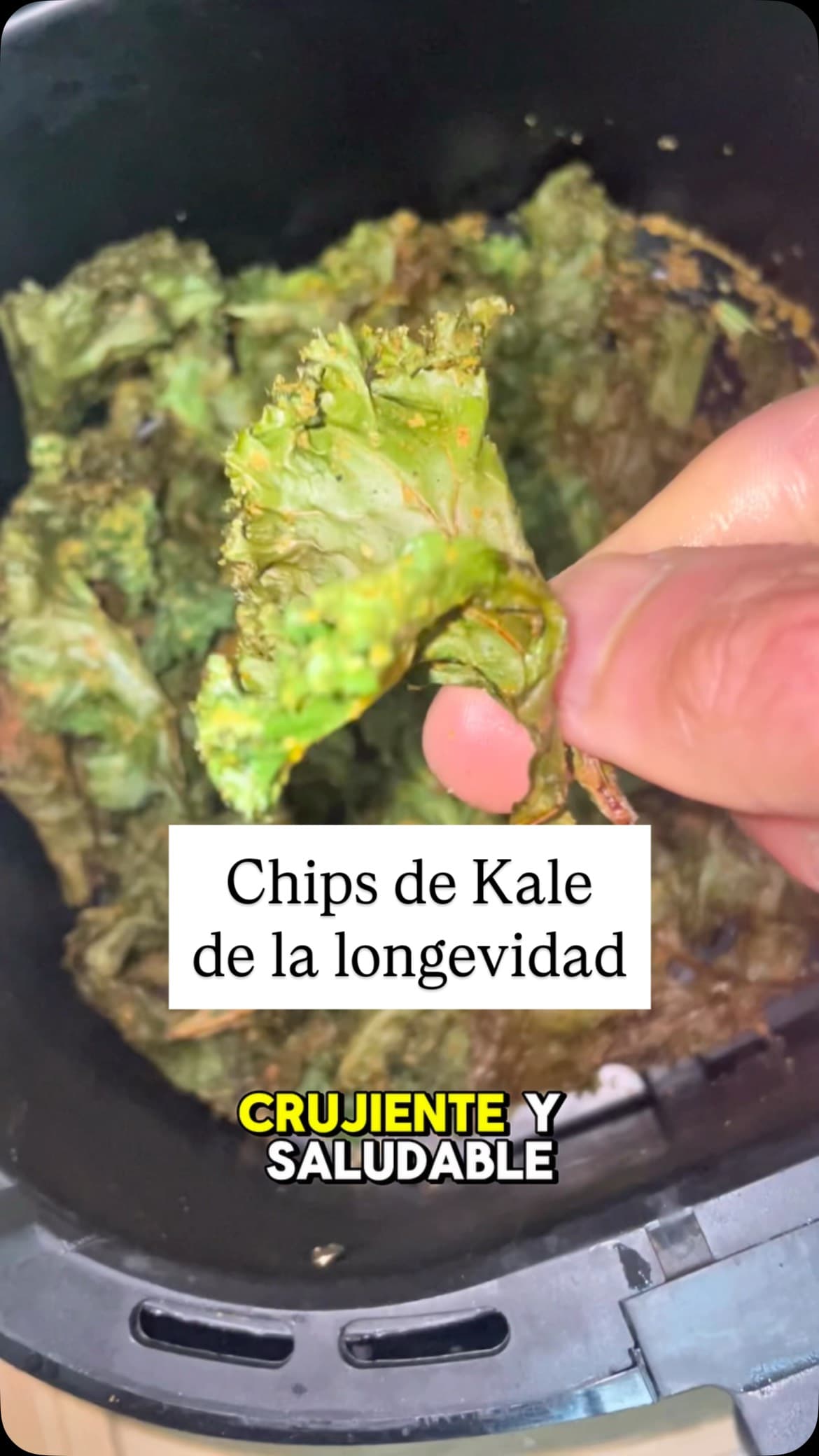 Kale Chips – Michelin-Level Crunch