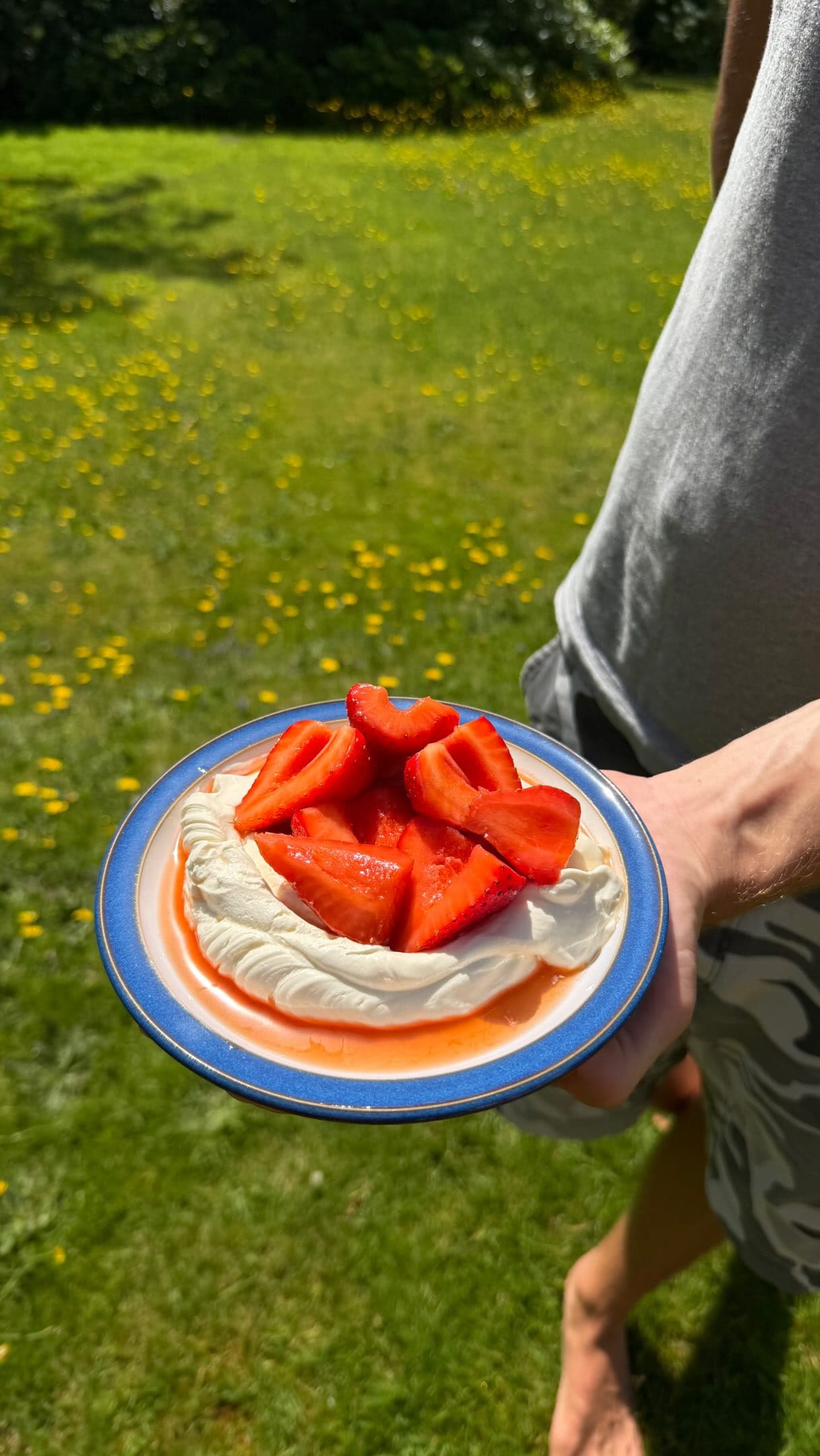 Pimm's Macerated Strawberries with Whipped Cream and Meringue