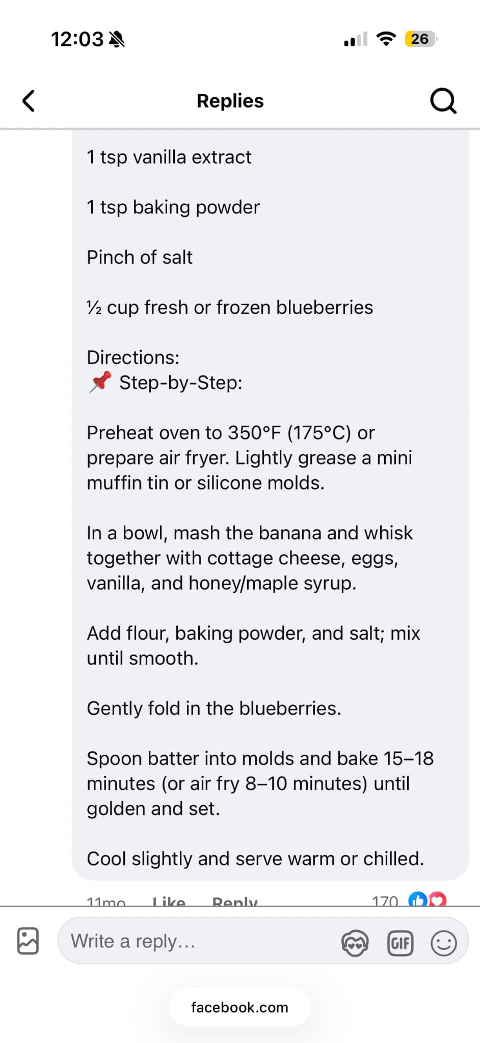 Blueberry Cottage Cheese Pancake Bites
