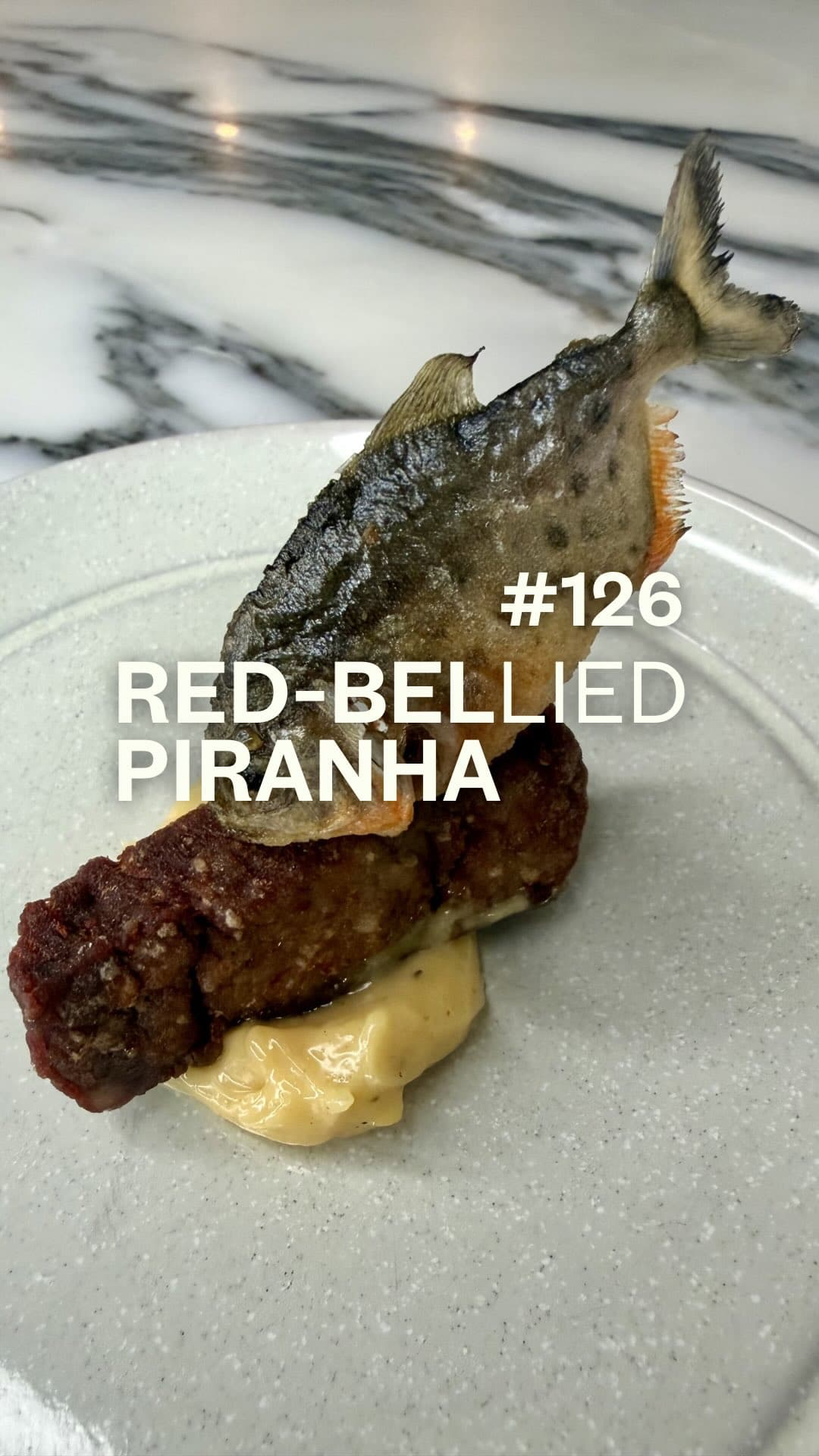 Red‑Bellied Piranha Canapés by Andrej Urosevic, a frame from the Instagram video