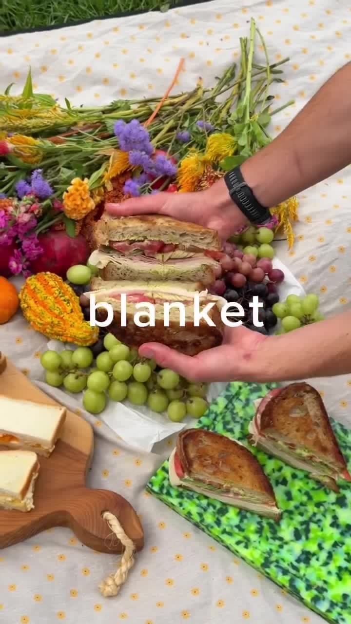 Picnic Sandwiches