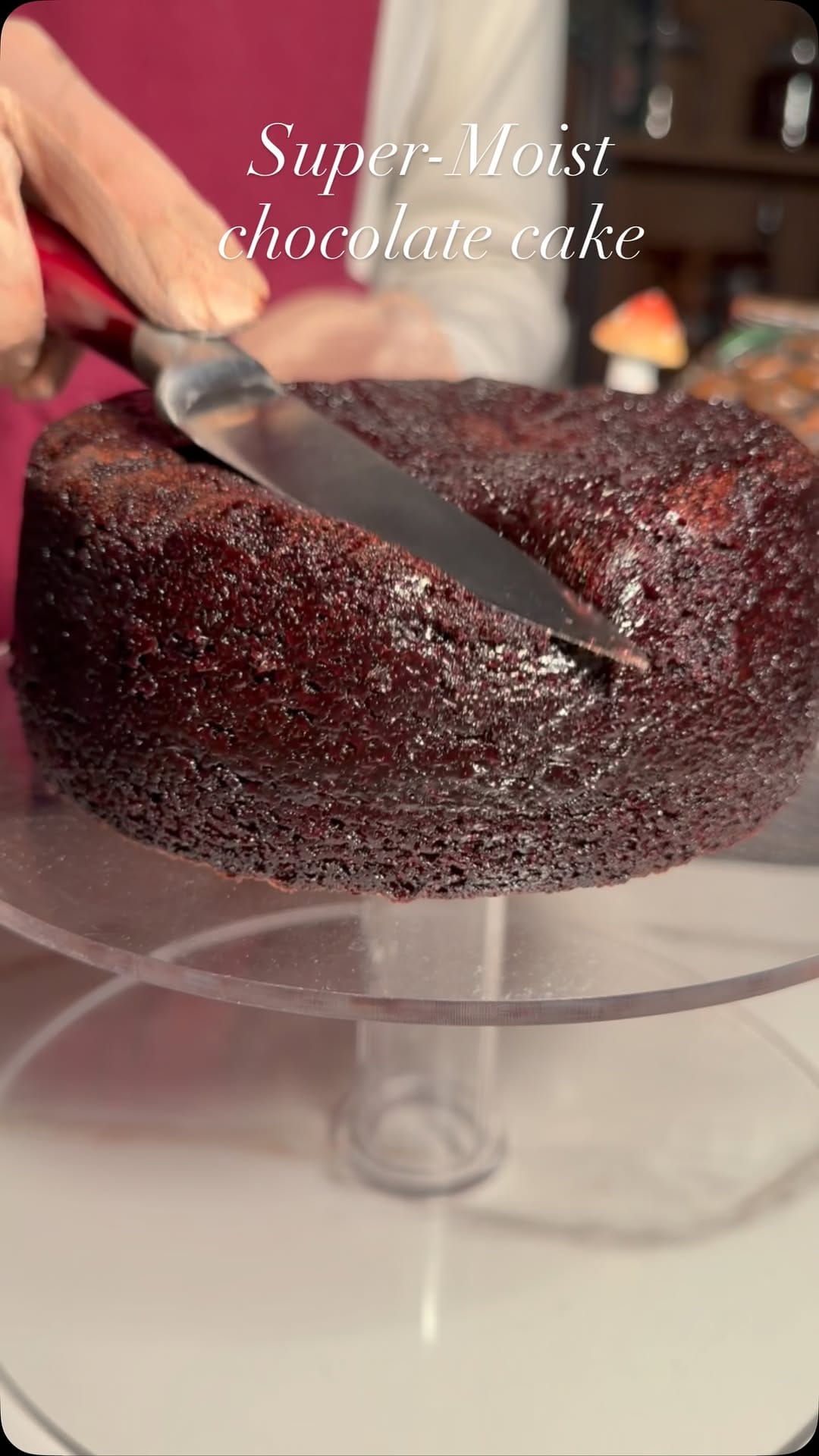 Simple Moist Chocolate Cake – 75-Minute Recipe