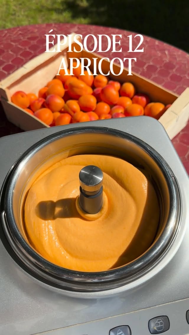 Roasted Apricot & Honey Sorbet Recipe