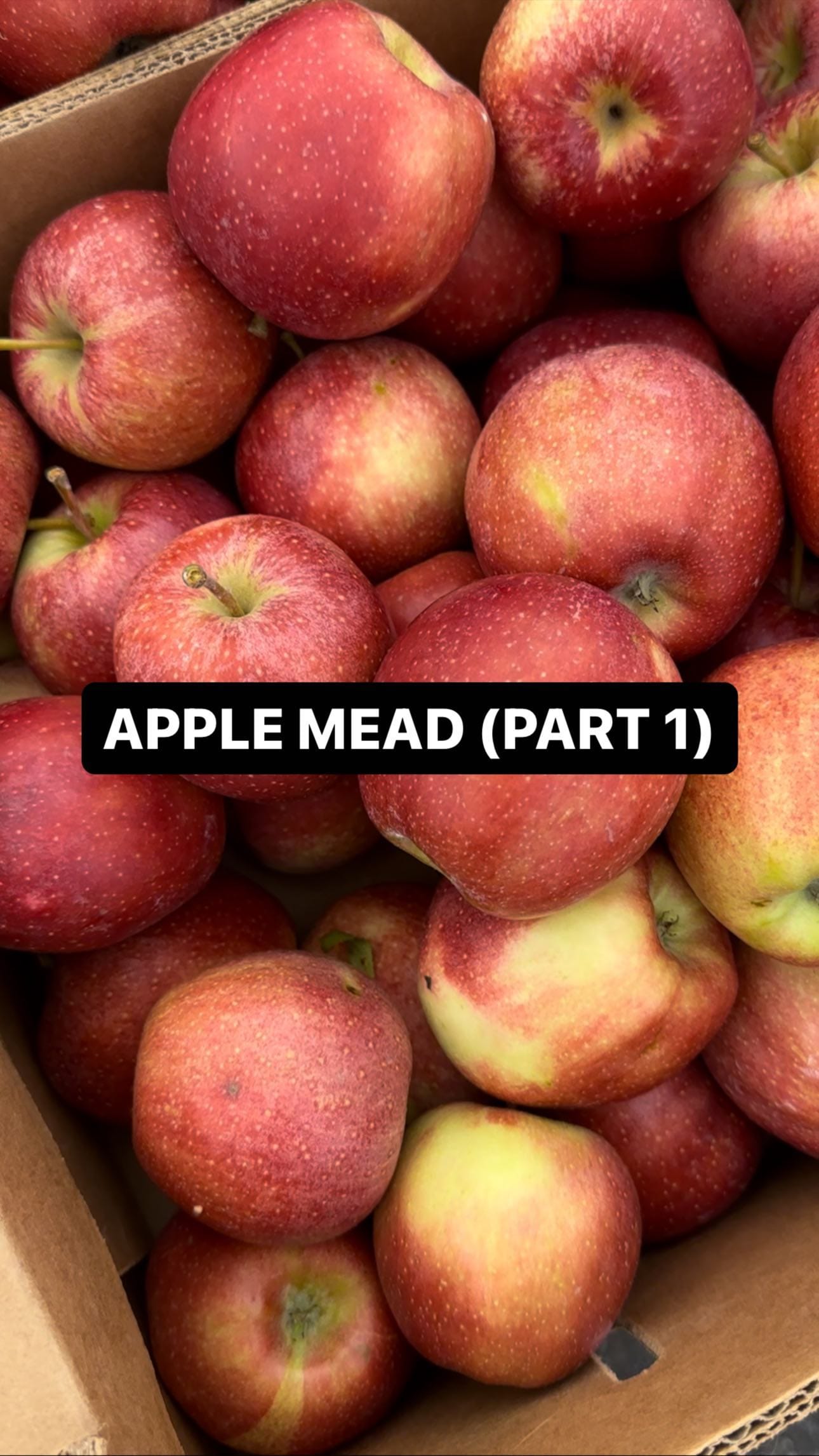 Apple Spice Mead Recipe