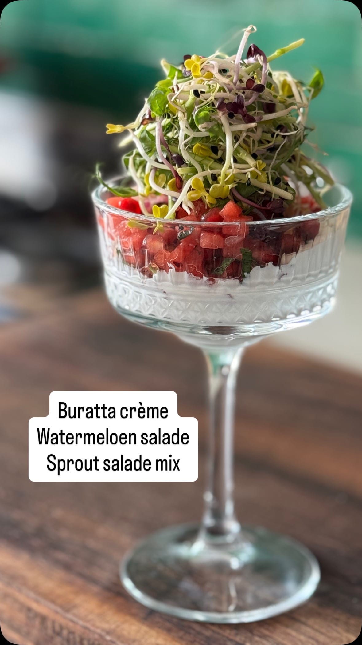 Watermelon Burrata Salad Starter Recipe