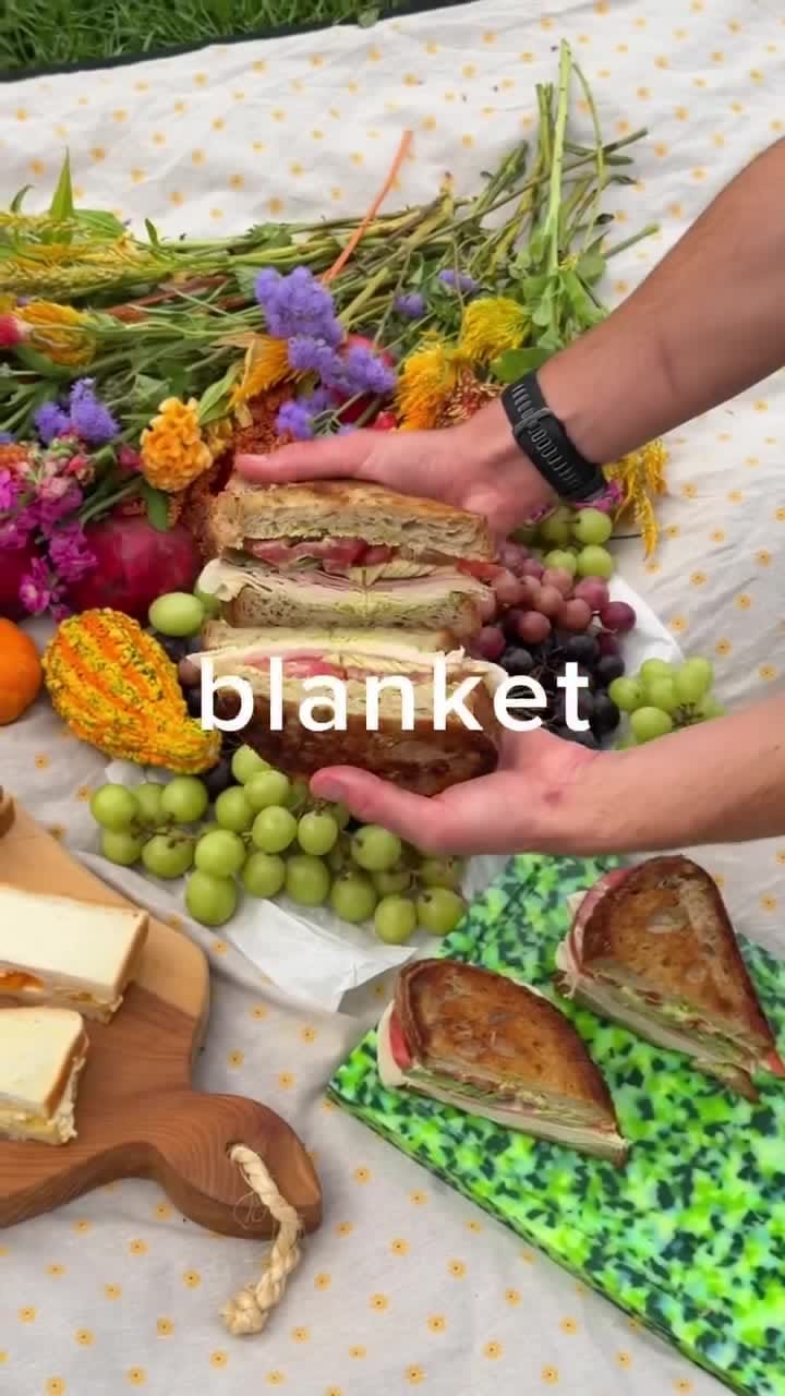 Picnic Sandwiches – 20-Minute Recipe