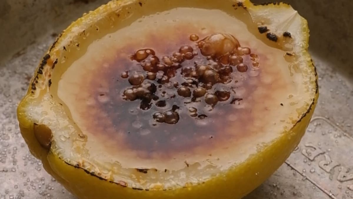 Lemon Brûlée