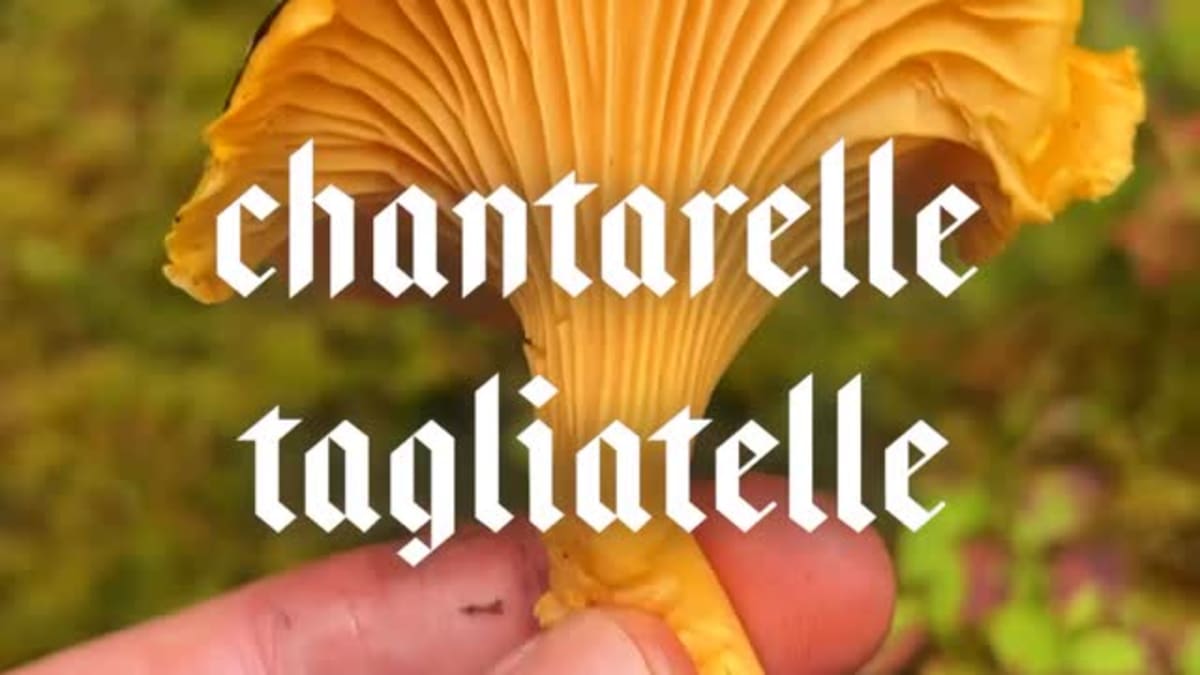 Chanterelle Tagliatelle with Burnt Cream