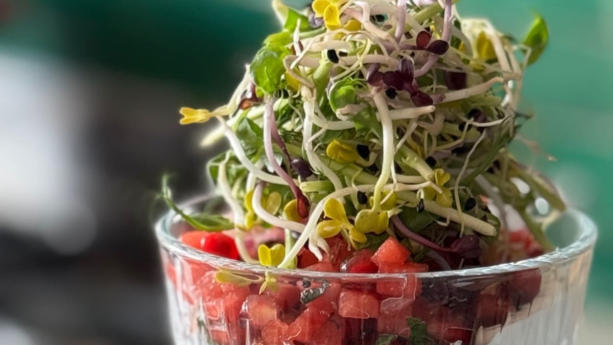 Perfect Summer Starter
