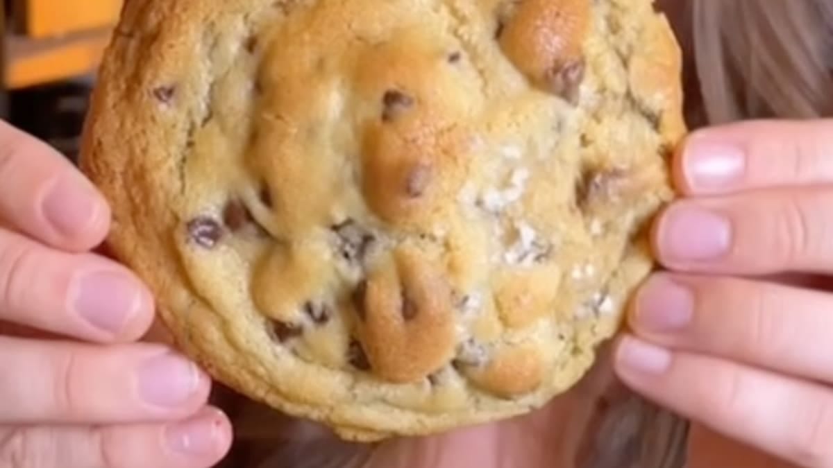 Classic Levain-Inspired Chocolate Chip Cookie