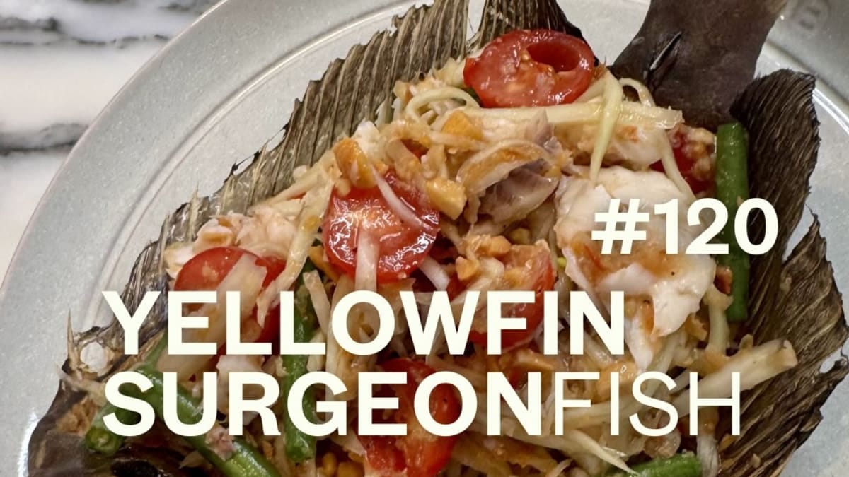 Yellowtail Surgeonfish with Som Tam Salad