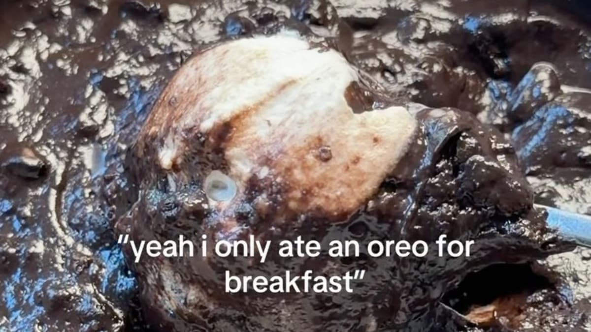 Oreo Egg White Oats Breakfast